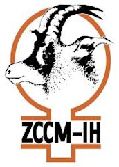 ZCCM Investments Holdings