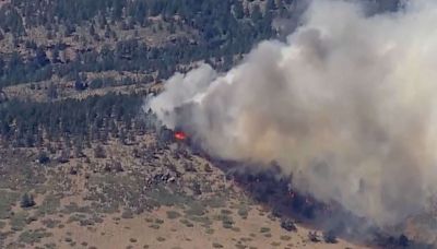 Human Remains Found in House Destroyed by Colorado's Stone Canyon Fire