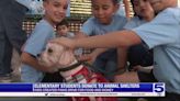 Elementary students raise funds for Valley animal shelters