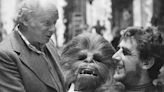 Entre el talento y la enfermedad: la historia de Peter Mayhew, el primer actor bajo el traje de Chewbacca - La Tercera