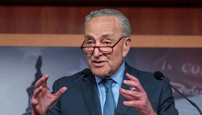 Senator Schumer to propose framework for AI legislation in coming weeks