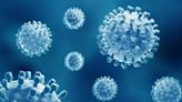 Medical Breakthrough: First self-test for hepatitis C virus prequalified by World Health Organisation