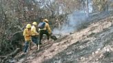 Controlan comuneros de Cahuacuá, y brigadas de Coesfo, incendio forestal en la Mixteca de Oaxaca