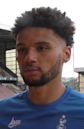 Lee Angol