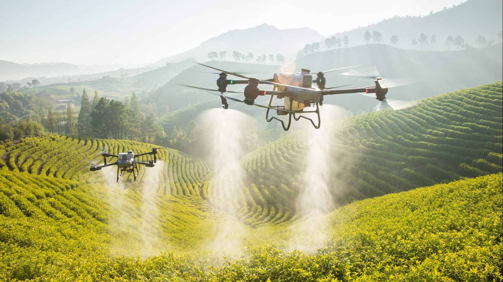 China's DJI taps young farmers to cultivate drone market