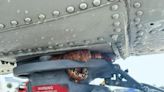Look: Stowaway snake found on Coast Guard helicopter in Florida