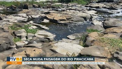 Dia Mundial da Limpeza é celebrado com ações de conscientização e plantio em Piracicaba