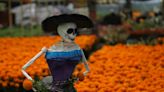 ¿Cuál es el origen y significado de la flor de cempasúchil en los altares del Día de Muertos?