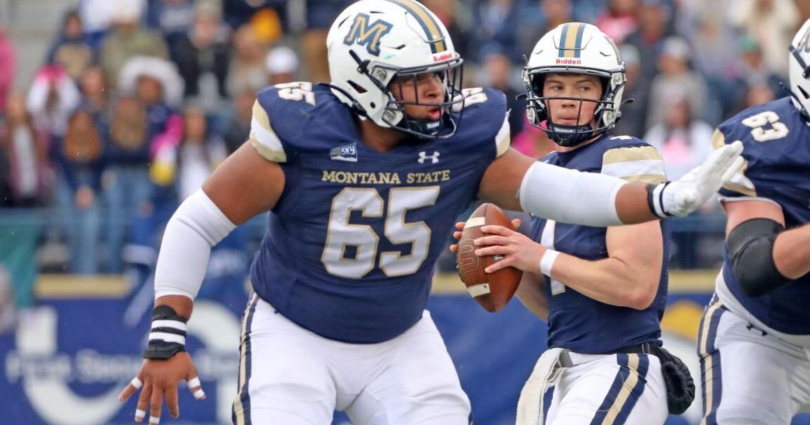 A breakdown of Montana State's offensive linemen before the 2024 season