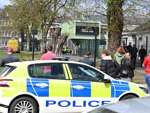 Violence involving children ‘almost epidemic’ warns former children’s commissioner after school stabbings