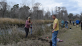 Cape Fear Creek Week to educate Wilmington residents on protecting water resources