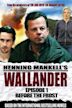 "Wallander" Innan frosten