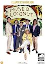 Museo Coconut