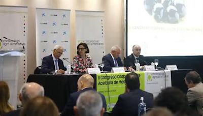 El sector de la aceituna de mesa clama en Córdoba por la solución de los aranceles impuestos por EE.UU.