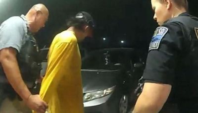 Video shows arrest of suspect in Maryland mom Rachel Morin's murder