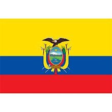 Ecuador national football team