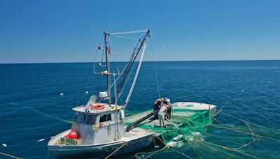 Great Lakes whitefish struggle to survive as ice cover melts away