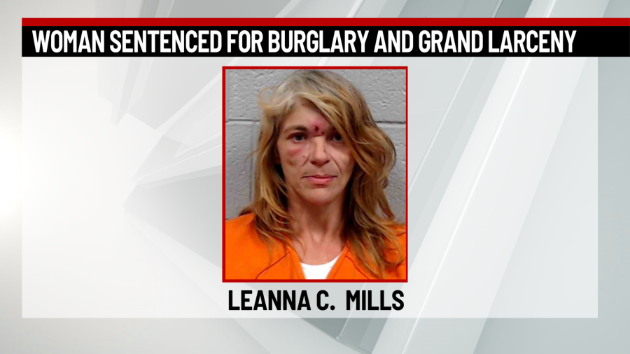 Wyoming County woman sentenced for burglary and grand larceny