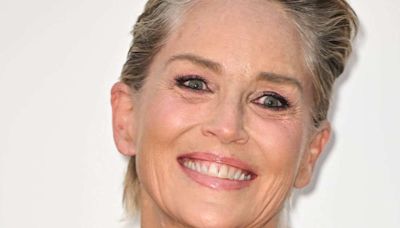 Sharon Stone Leaves Fans Concerned With Photo of Black Eye