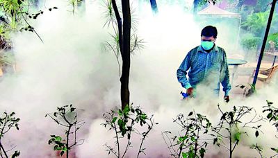 BBMP Dengue Bulletin Reports 123 Cases