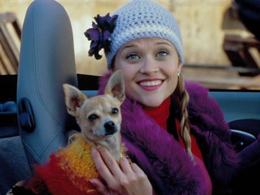 “Legally Blonde” Prequel Series Ordered at Prime Video with Reese Witherspoon as Executive Producer