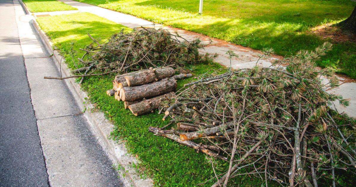 City of Madison announces brush collection information related to storms