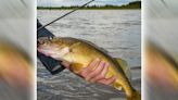 WI Daily Update: Focus on the wing dams for walleyes on the Mississippi River right now - Outdoor News