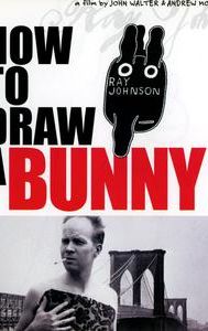 How to Draw a Bunny