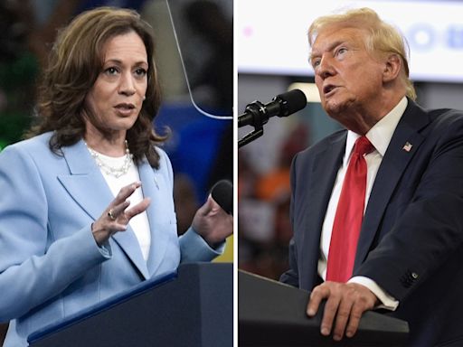 Trump apunta contra Biden y Kamala Harris por el derrumbe en los mercados: “Los líderes más incompetentes de la historia”