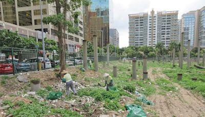 議員冀制訂臨時土地使用機制 用好土地資源配合社會發展需求