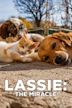 Lassie: The Miracle