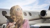 New Dog-Dedicated Airline Flies Out of San Jose — For a Price