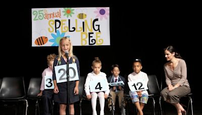 How has the spelling bee become cool?