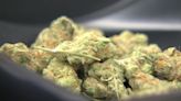 Ohio opens non-medical marijuana license applications Friday
