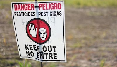 Por causa de un entierro clandestino de pesticidas contaminantes, condenaron al Estado Nacional a indemnizar a tres familias por daños a la salud