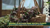 Mahina Lāʻau Kamaʻāina: Plants & Water