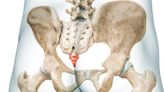 The tailbone: Small but significant