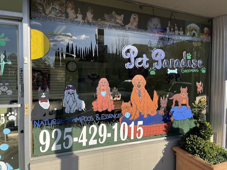 noni s pet boutique grooming pleasant hill Yahoo Local Search