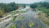 Alarma el nivel crítico del río Cazones por la sequía