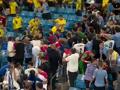 Liverpool's Darwin Nunez jumps into the crowd and starts punching FANS