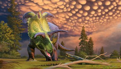 Meet Lokiceratops: New Dinosaur Wields Spectacular Blade-Like Horns