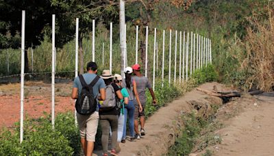 En 20 años la población venezolana en Estados Unidos aumentó cerca de 600%