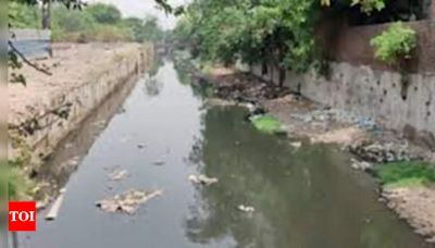 Expedite drain and sewer line cleaning, MCG officials told | Gurgaon News - Times of India
