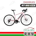 【DOSUN】電動輔助自行車 RT100 43CM 油壓碟 粉(車麗屋)