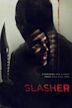 Slasher (TV series)