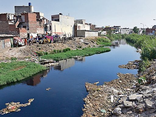 Ludhiana: CETPs asked not to dump treated water into Buddha Nullah