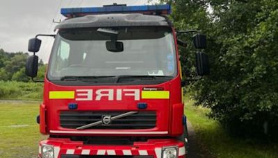 Firefighters rescue fish struggling to breathe in Suffolk pond