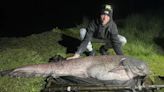 Pescador encontra peixe-gato de 64 kg em lago na Inglaterra