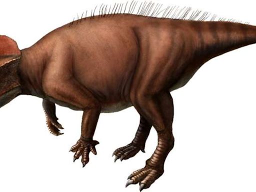 New plant-eating dinosaur species discovered in Japan named after gnomes