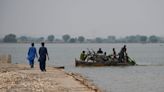 Fodder dries up for Pakistan's cattle as floodwaters stay high